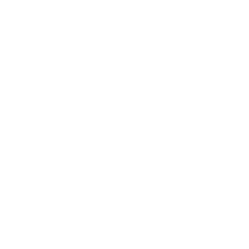 Ratos e roedores